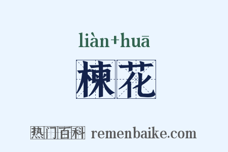 楝花是什么意思的图片